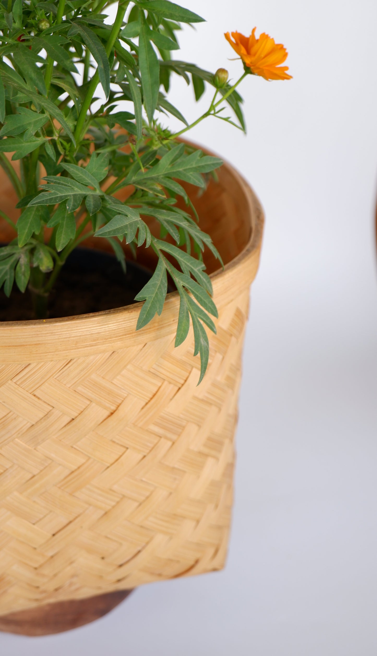 BAMBOO PLANTER WITH STAND - NATURAL