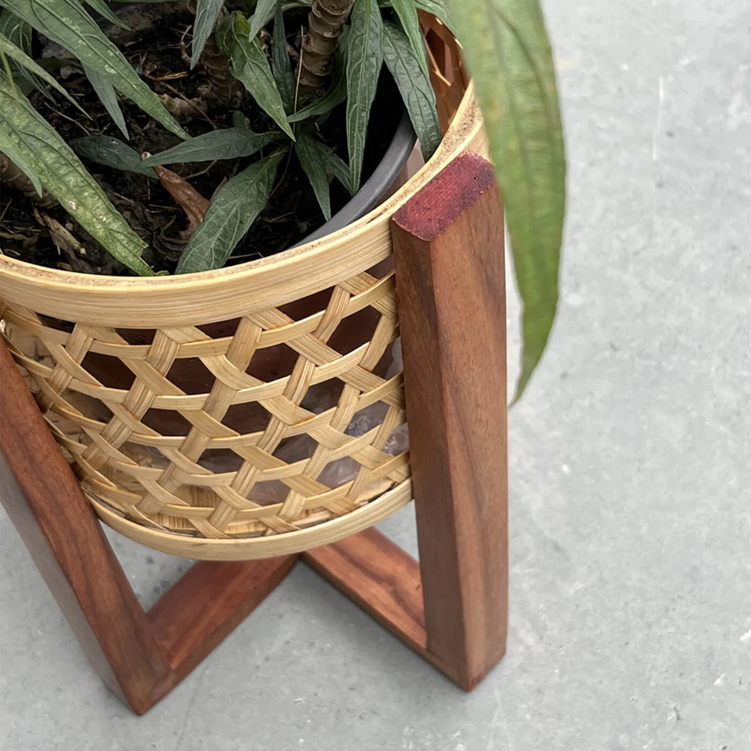 CLASSIC BAMBOO STAR WEAVE PLANTER WITH WOODEN STAND