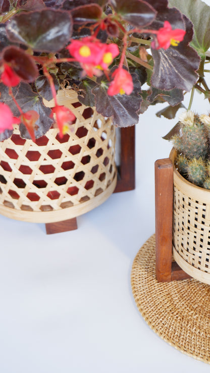 CLASSIC HAND MADE MINI BAMBOO PLANTER