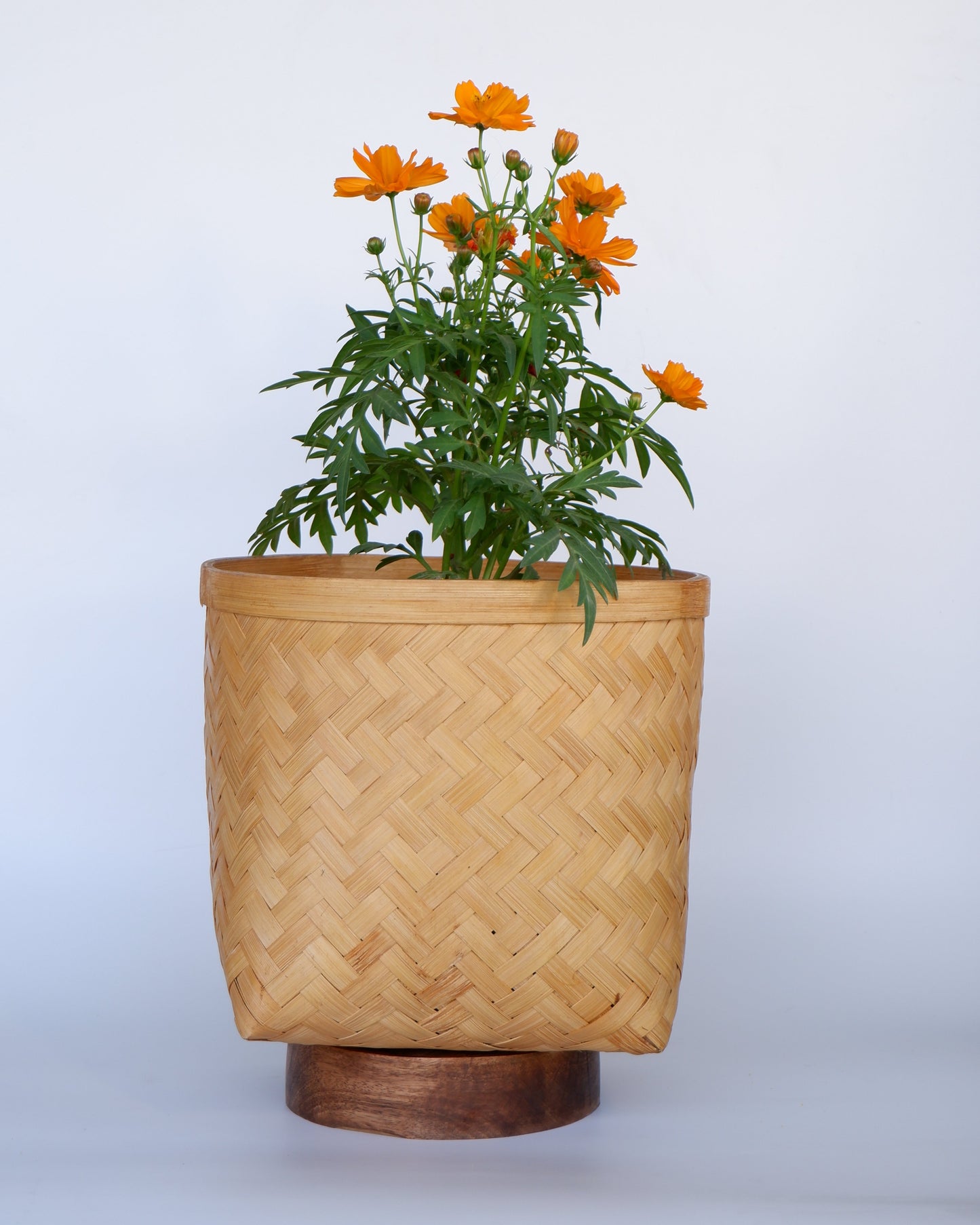 BAMBOO PLANTER WITH STAND - NATURAL