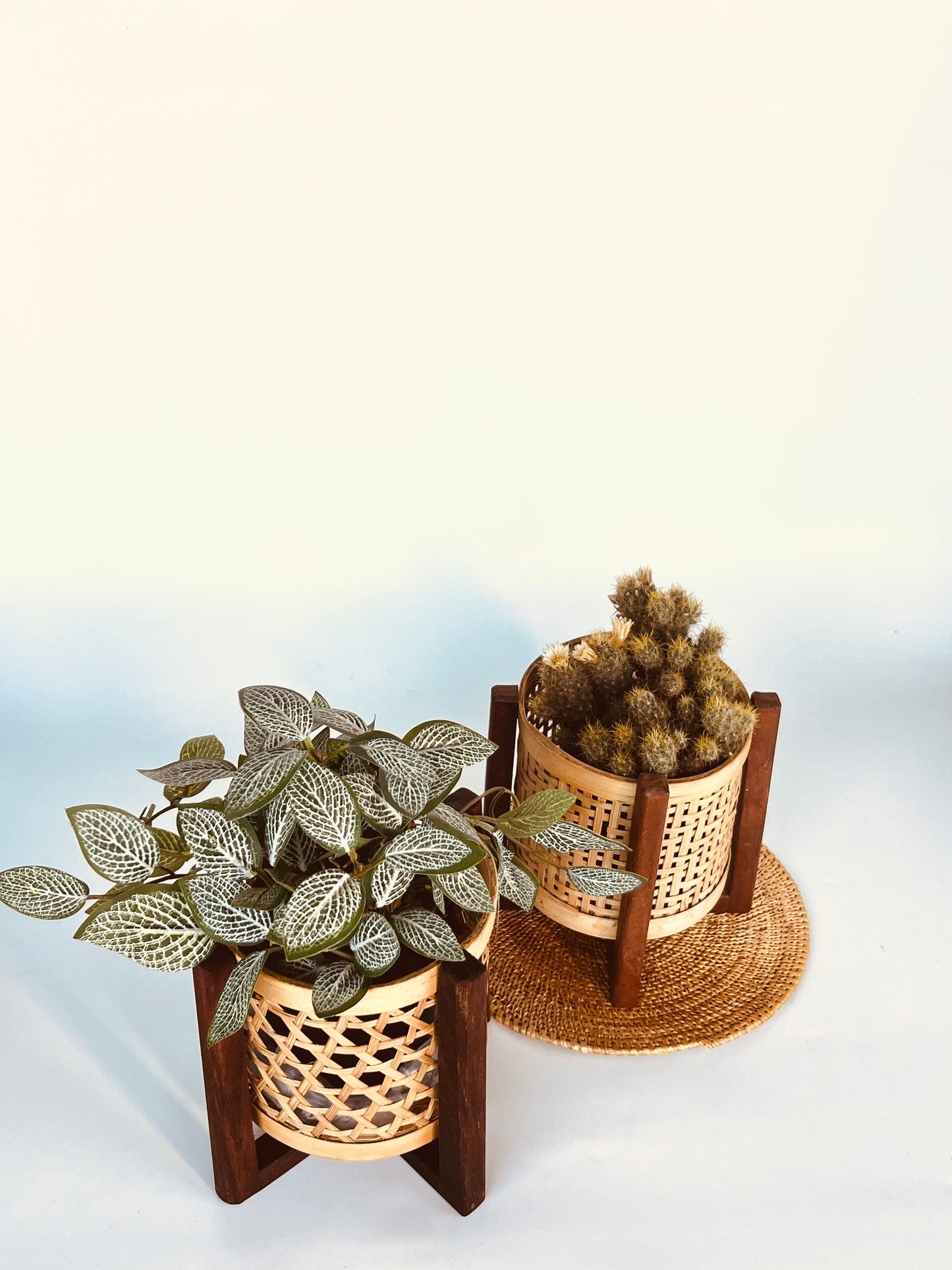 CLASSIC HAND MADE MINI BAMBOO PLANTER SET