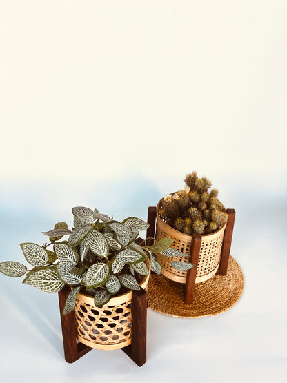 CLASSIC HAND MADE MINI BAMBOO PLANTER SET