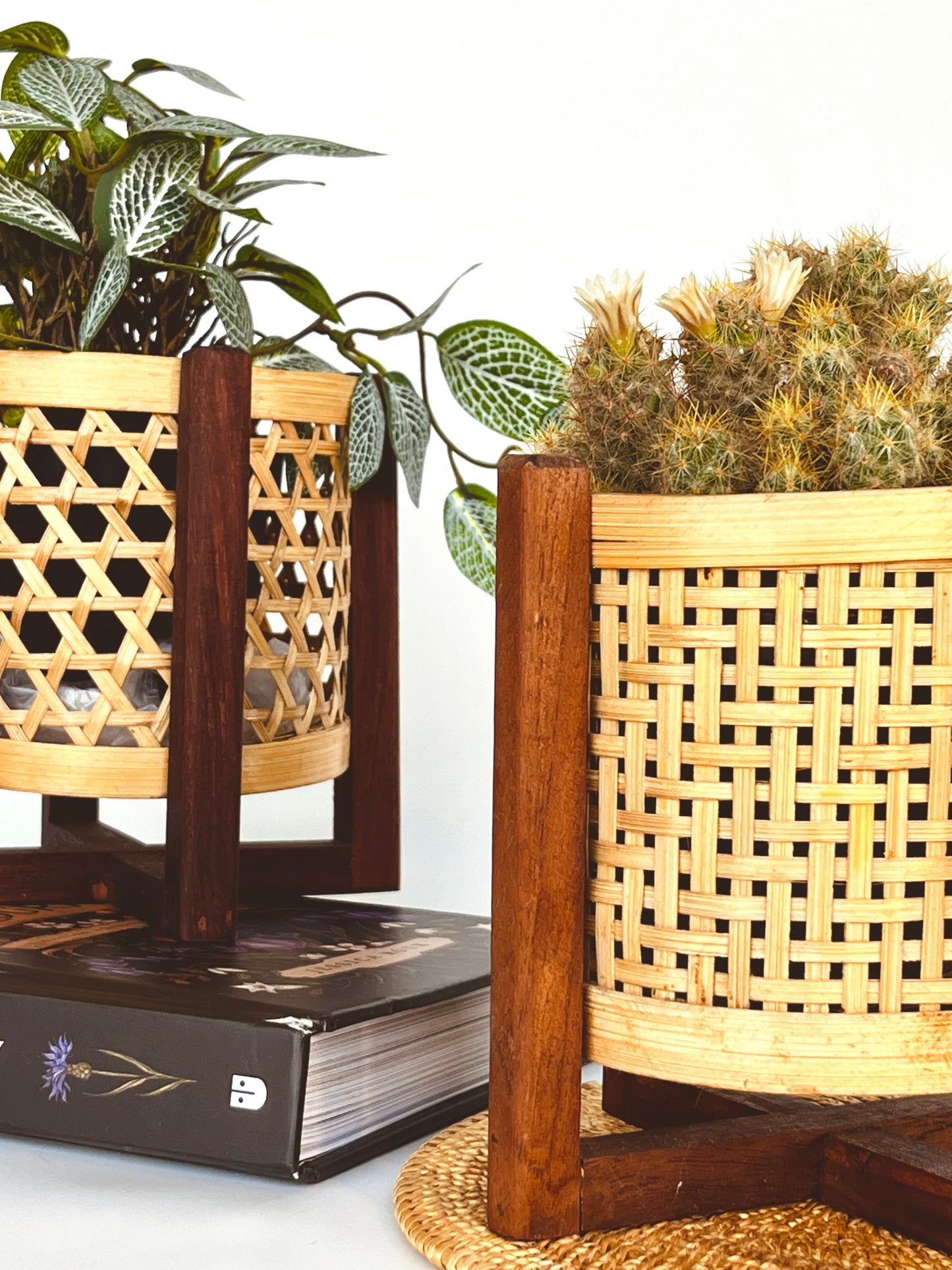 CLASSIC HAND MADE MINI BAMBOO PLANTER SET