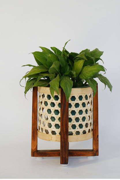 CLASSIC BAMBOO STAR WEAVE PLANTER