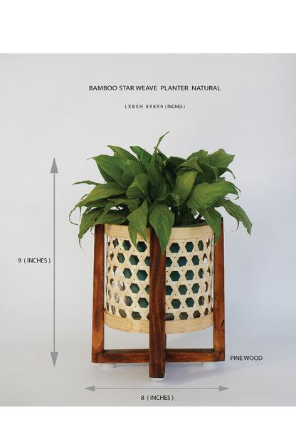 CLASSIC BAMBOO STAR WEAVE PLANTER