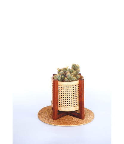 CLASSIC HAND MADE MINI BAMBOO PLANTER