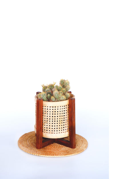 CLASSIC HAND MADE MINI BAMBOO PLANTER
