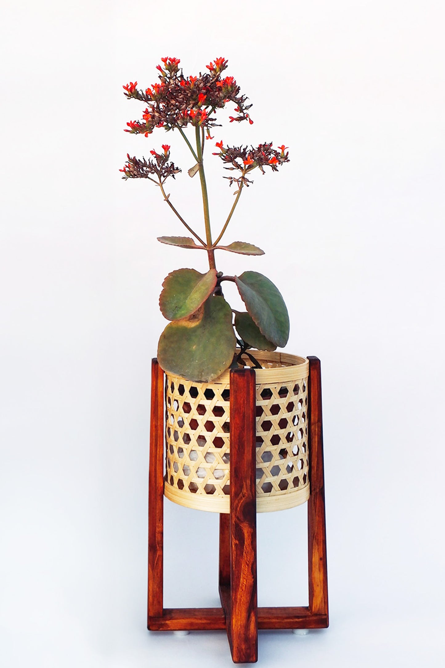 CLASSIC BAMBOO STAR WEAVE PLANTER WITH WOODEN STAND